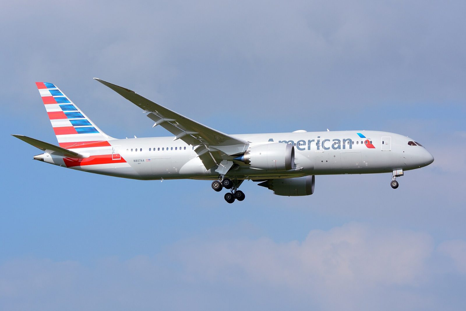 この機種（アメリカン航空の787-8）の外観