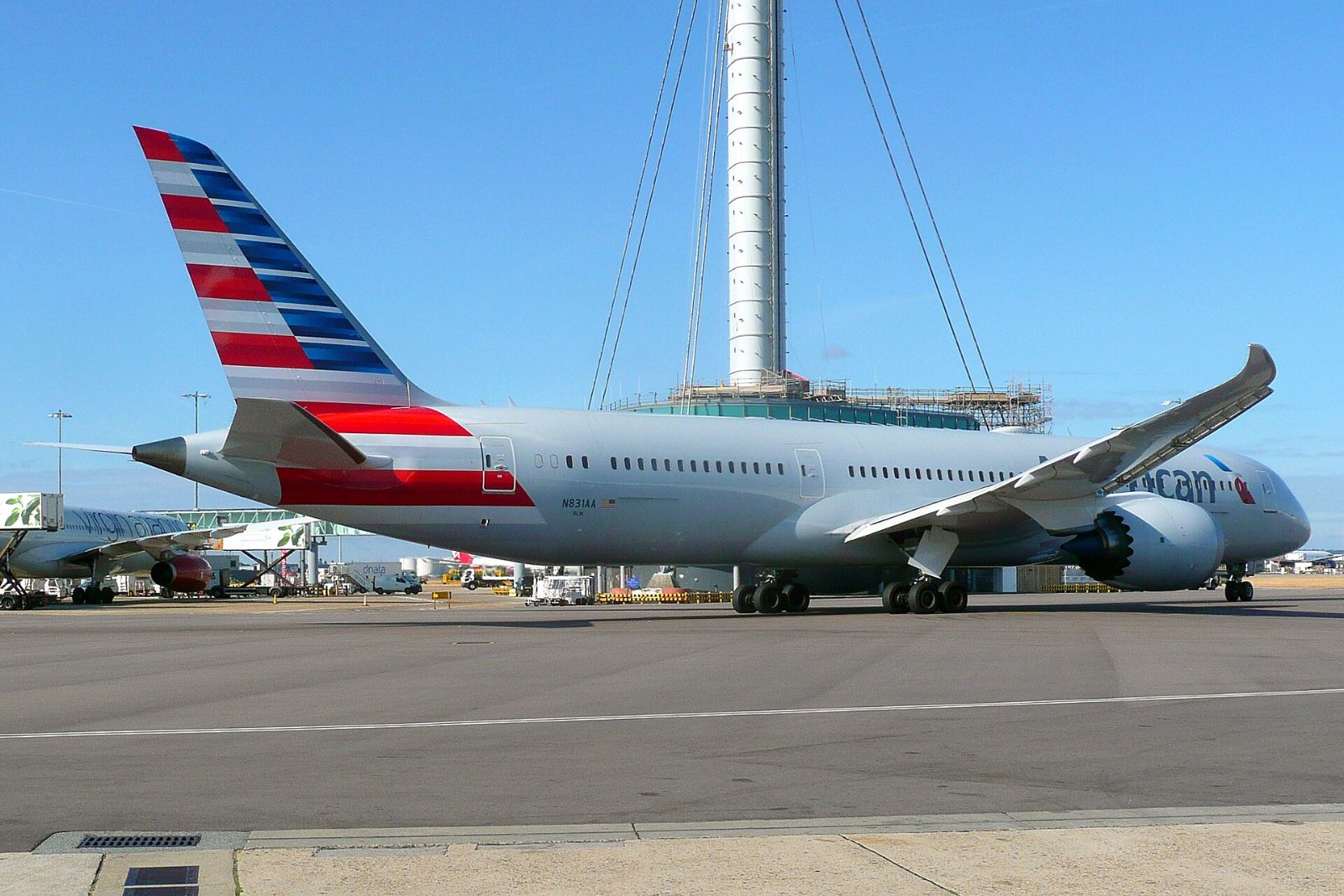 この機種（アメリカン航空の787-9）の外観