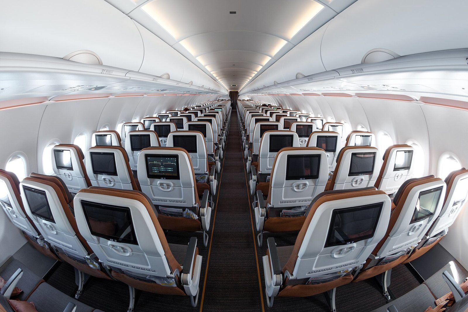 スターラックスA321neo エコノミークラス