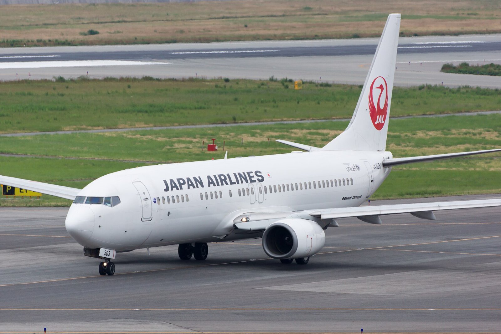 この機種(JALの737-800)の外観