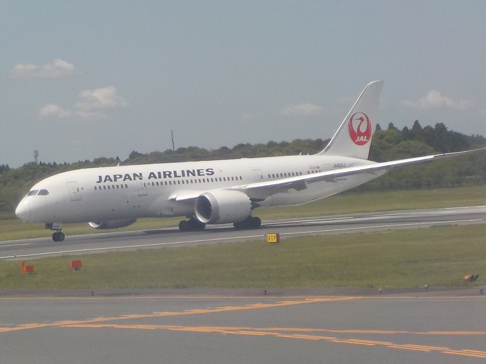 この機種(JALの787-8)の外観