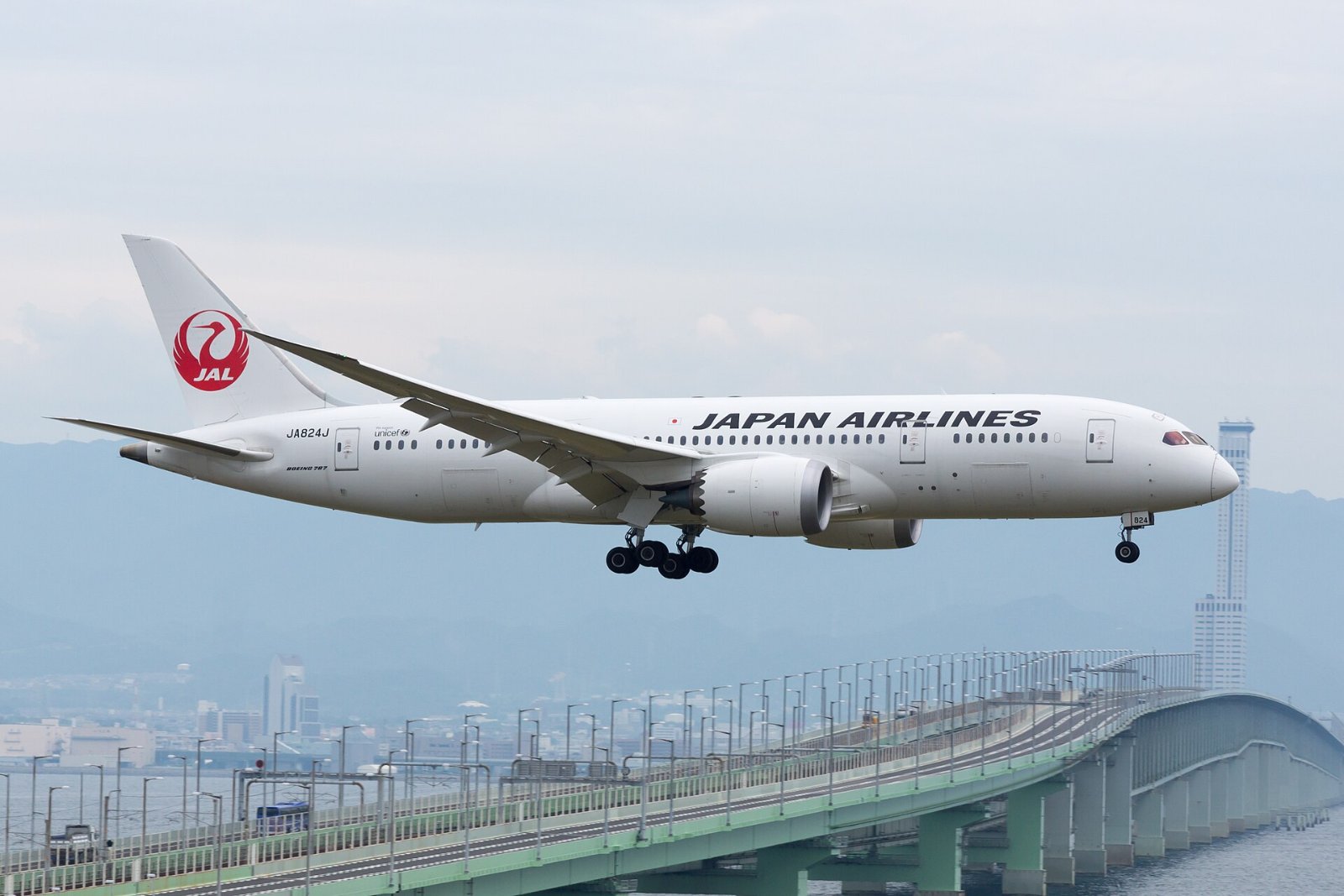 この機種(JALの787-8)の外観